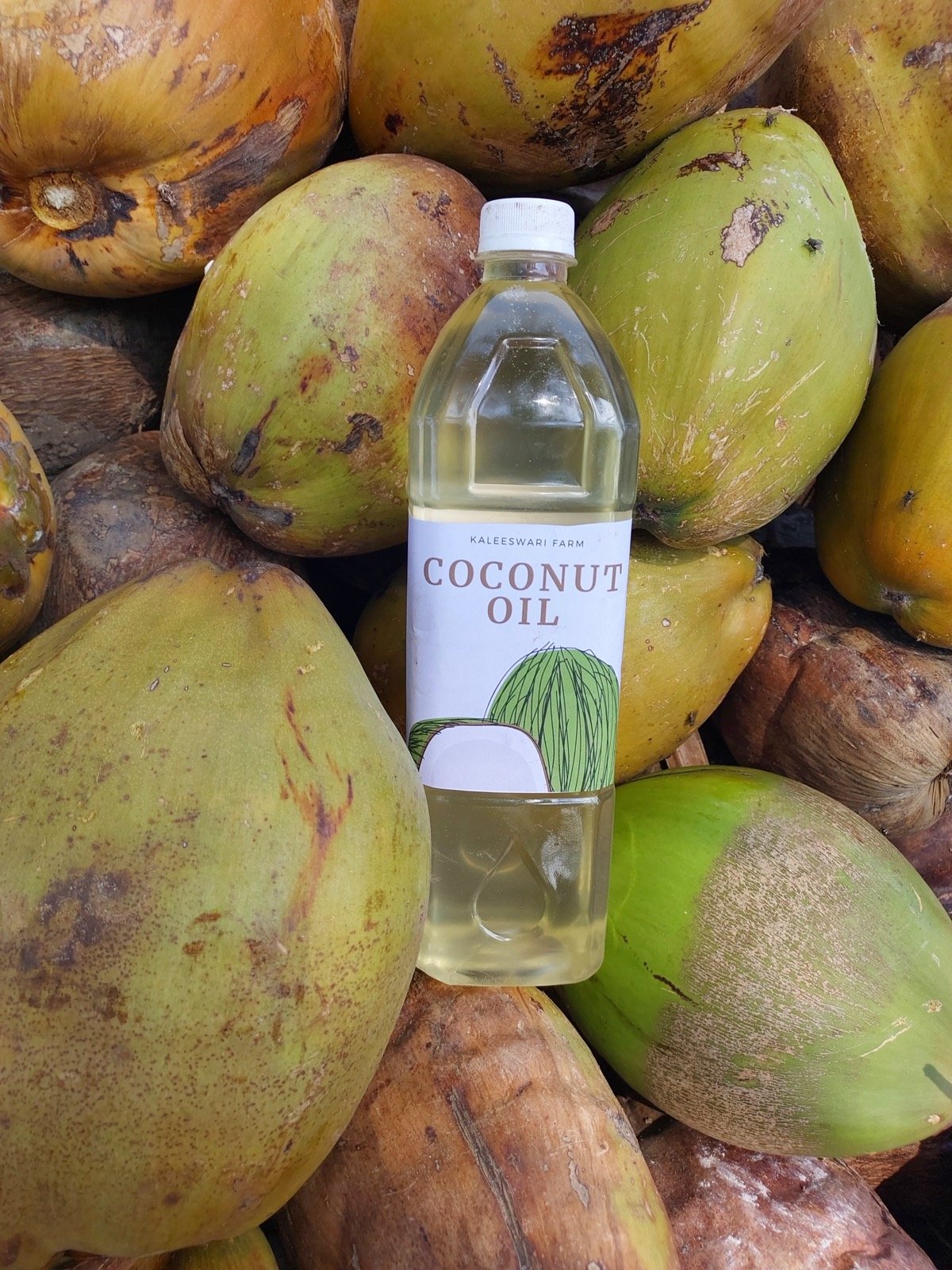 Coconut Oil for Hair & Skin: Multiple Uses, Real Benefits