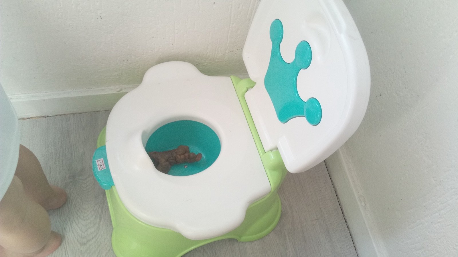Is Your Toddler Ready for Potty Training?