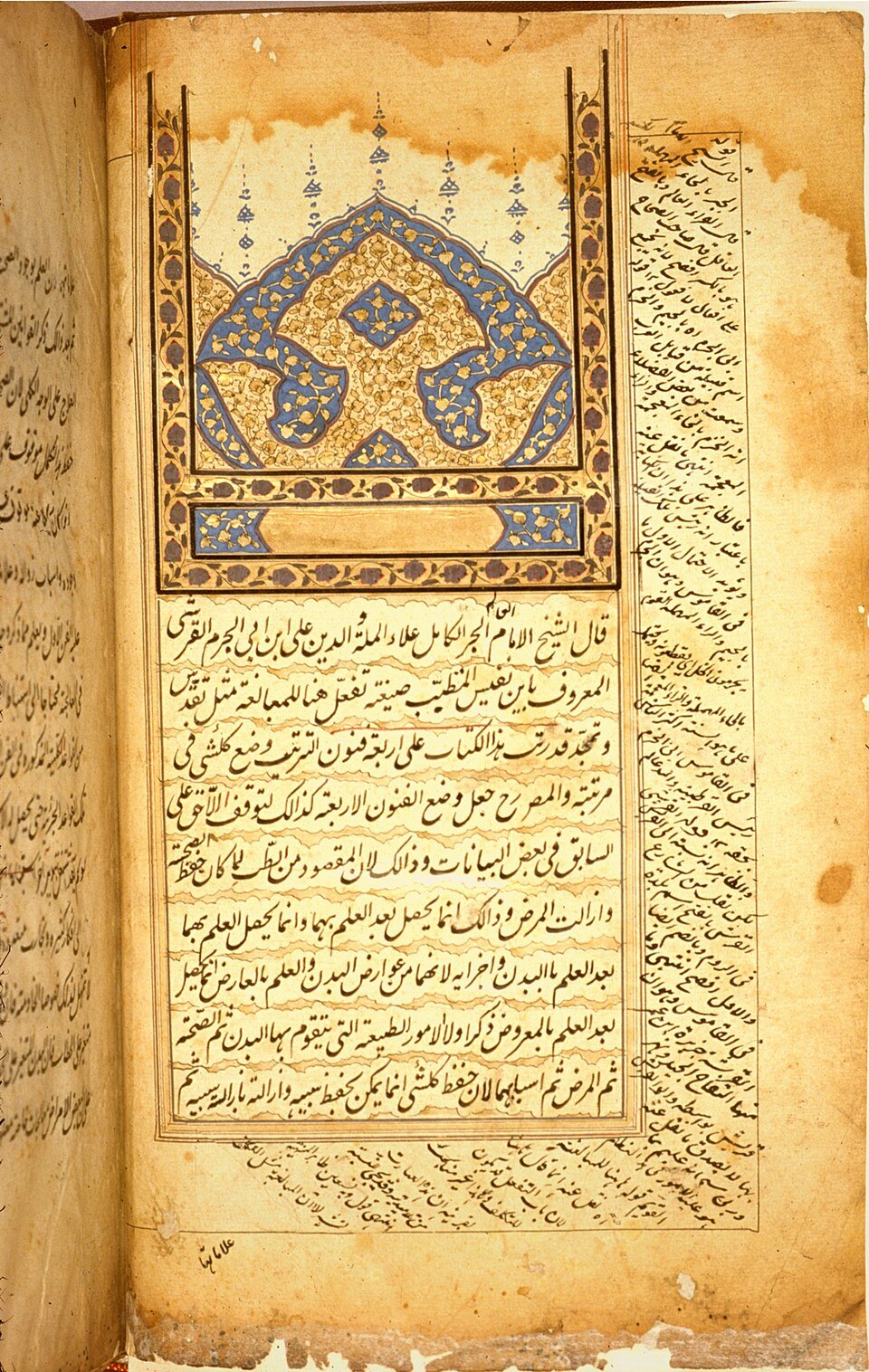 ابن النفيس